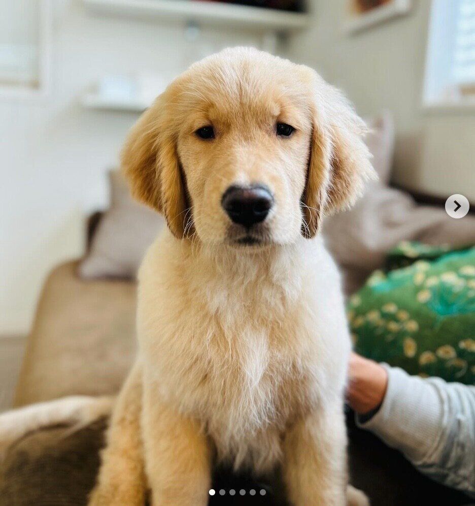 見つめるイクラちゃん