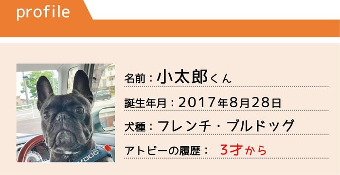 フレンチ・ブルドッグの小太郎くん