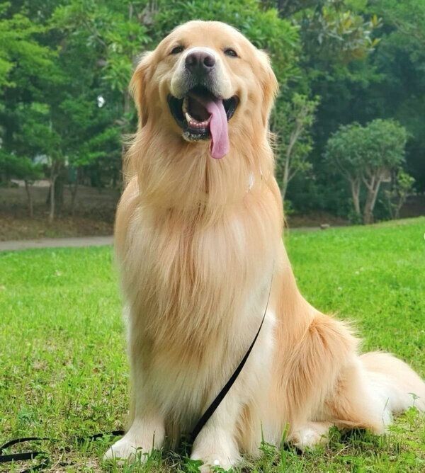 笑顔のアランくん