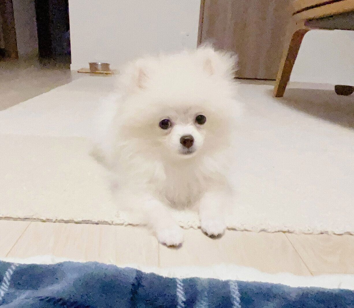 生後4カ月のころに撮影したそらくん