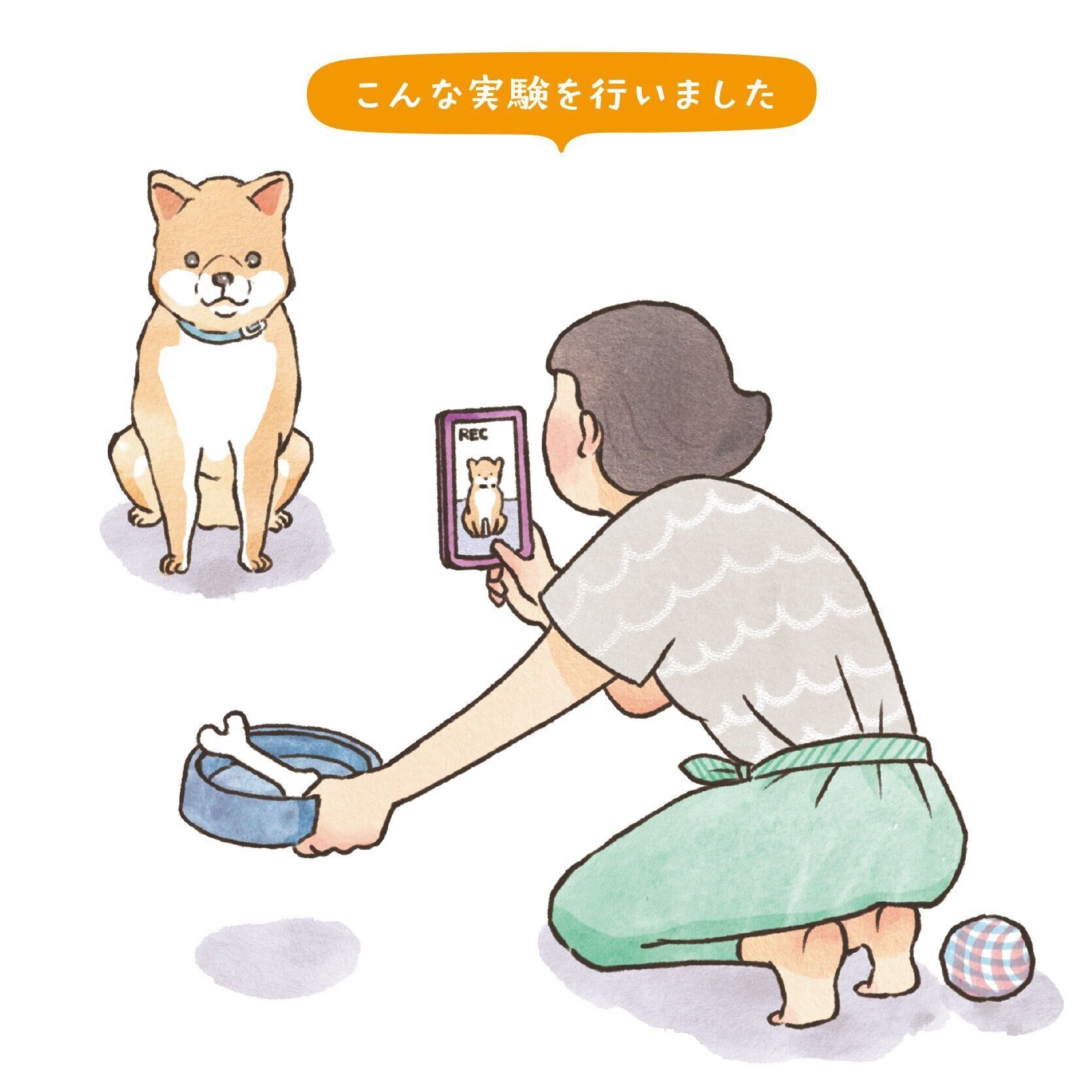 イラスト／フジマツミキ