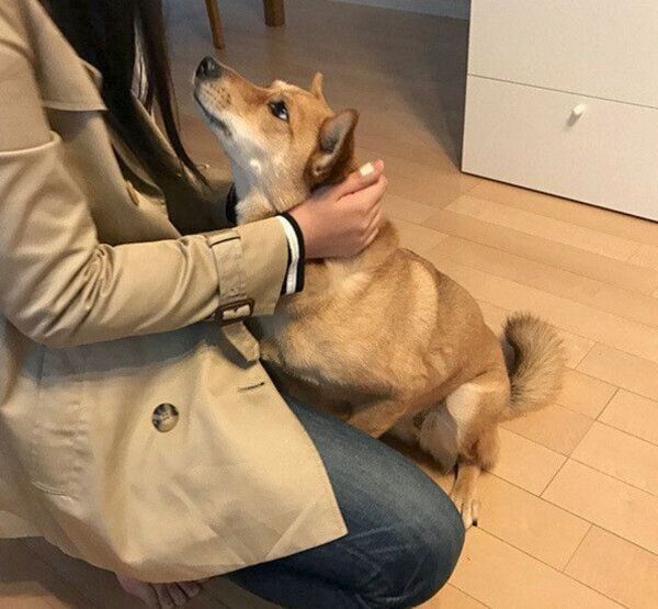 帰宅を喜ぶ柚ちゃん