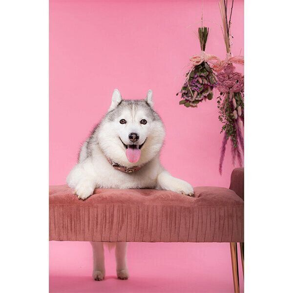 笑顔のシルビアちゃん