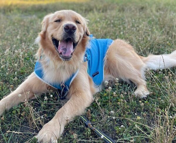 笑顔が可愛いセナくん