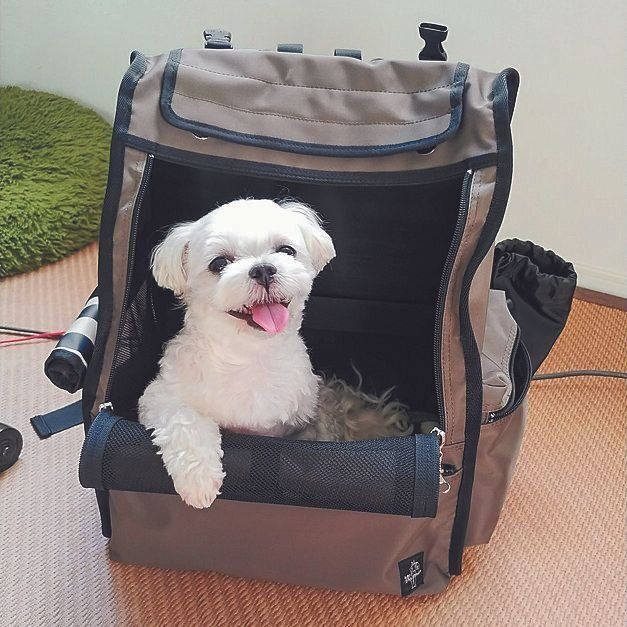 「自然災害だけでなく、交通事故など出先でのトラブルにも備え、常に車に積み、またふだんから慣れさせています」