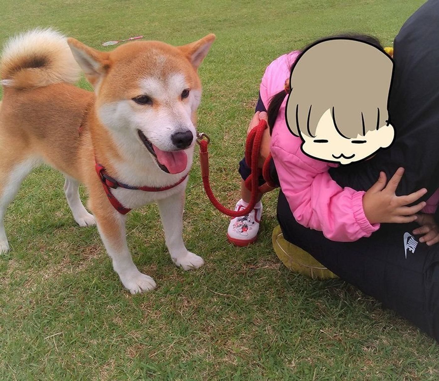 内弁慶な娘とその逆の柴犬タロさん 連載 モフモフ柴とプニプニ娘 第43話 いぬのきもちweb Magazine 内弁慶な娘とその逆の柴犬タロさん 連載 モフモフ柴とプニプニ娘 第43話 いぬのきもちweb Magazine