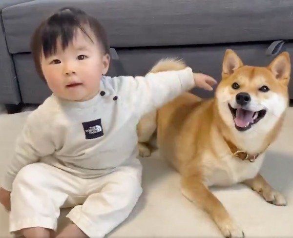 妹ちゃんに「なでなで」されるりんご郎くん