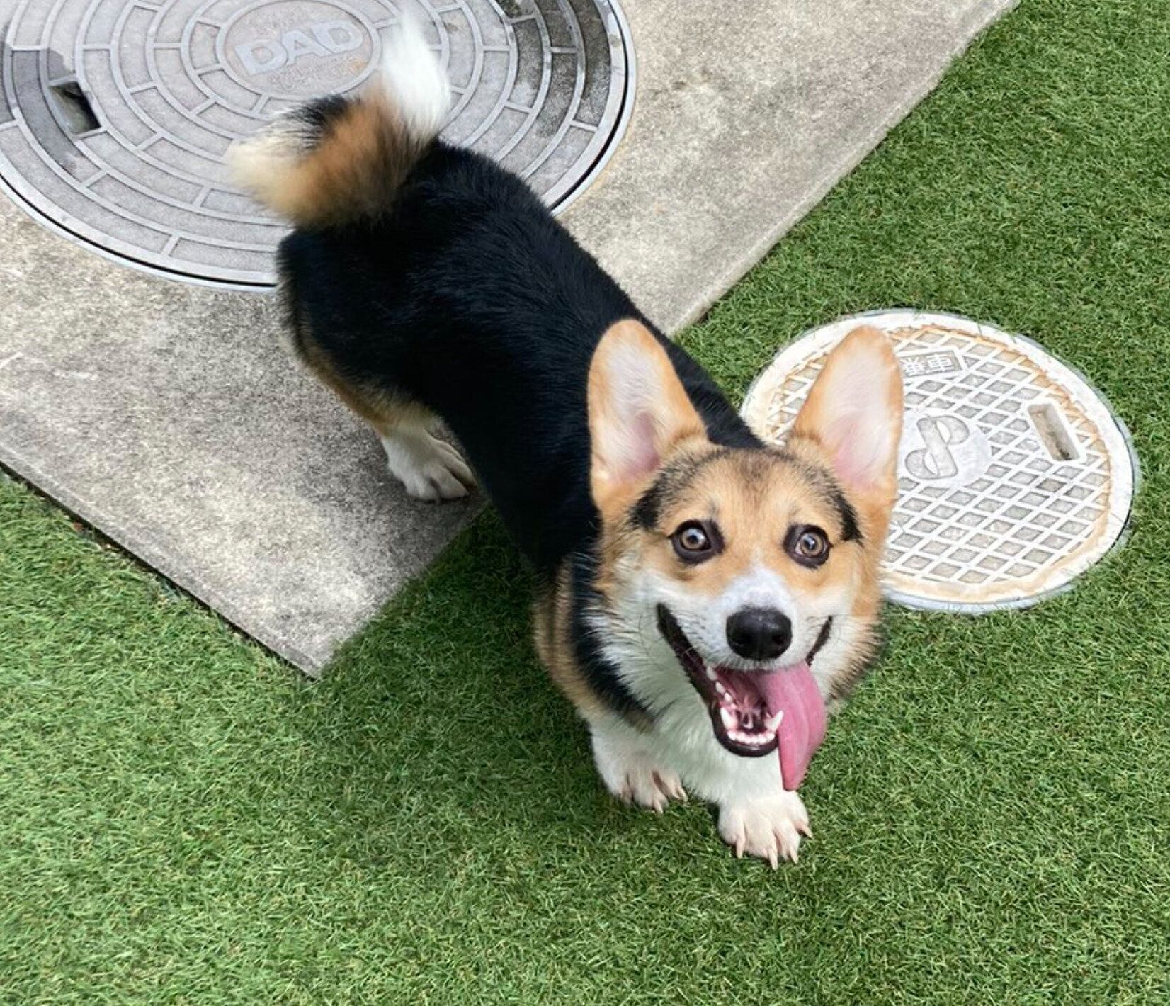 楽しそうなくろまるくん