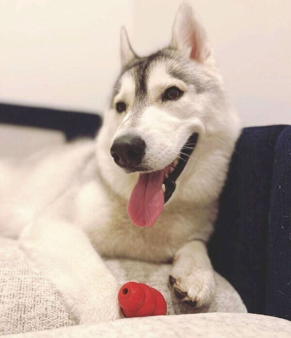 おもちゃで遊ぶぽぽちゃん