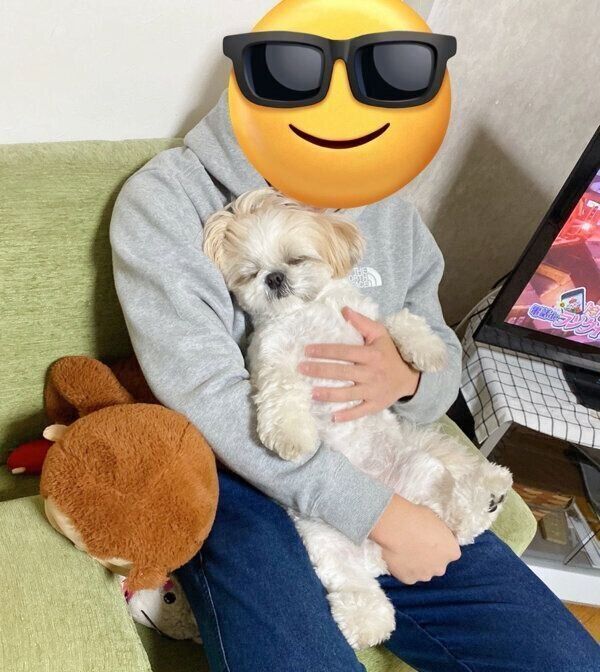 抱っこされながら寝てしまうこむぎくん