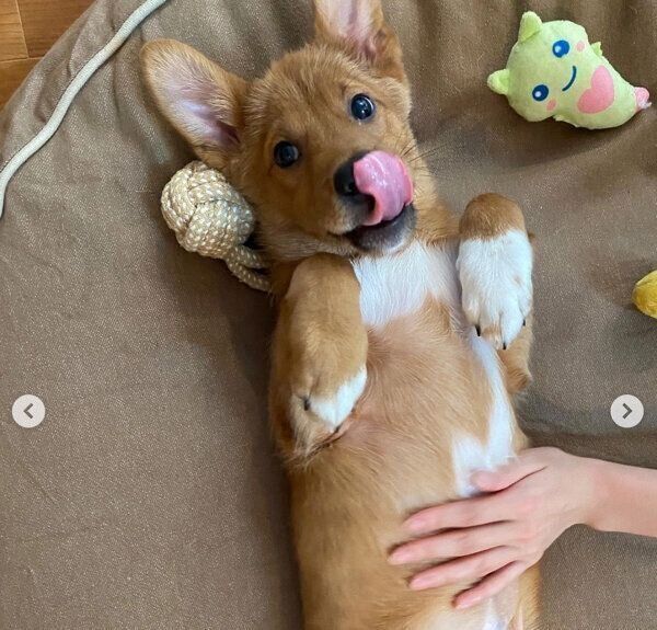 寝転がる風希くん