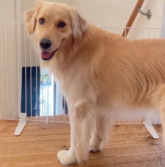 見つめるエマちゃん