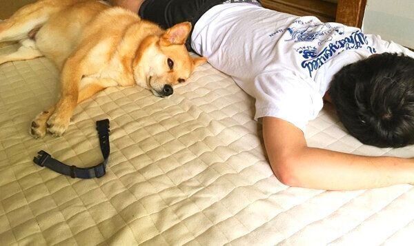 長男のそばに寄り添う福くん