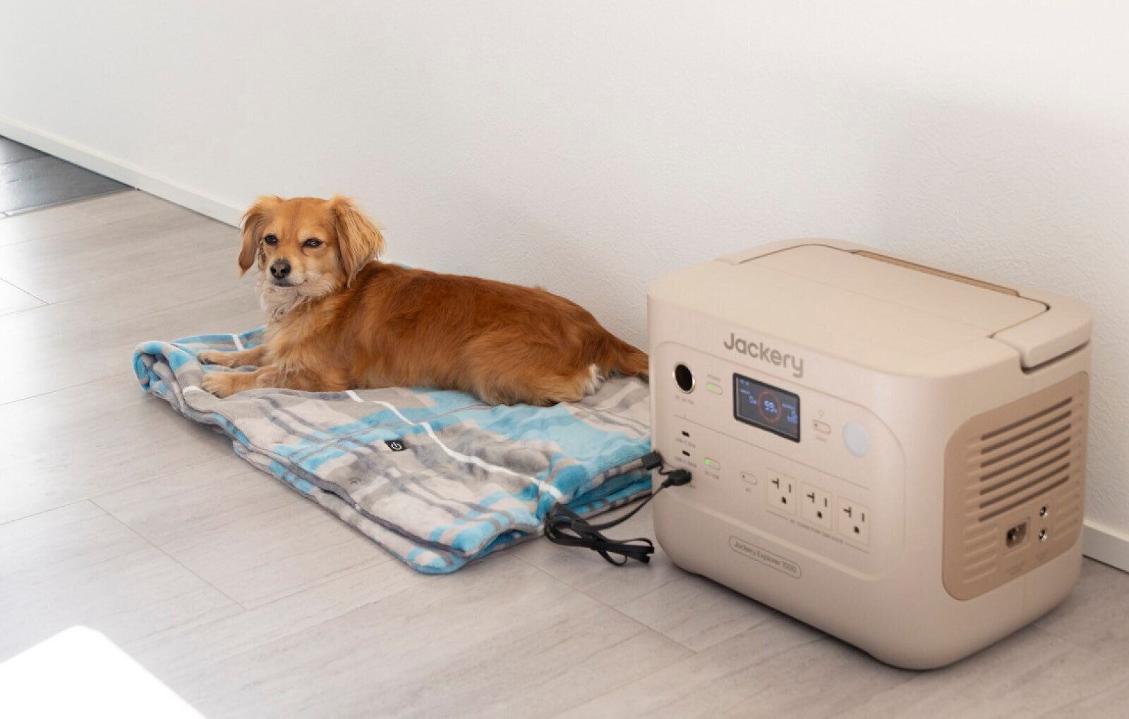 Jackery Japan　ジャクリ　ポータブル電源　犬　在宅避難　自宅避難　キャンプ　アウトドア　ソーラーパネル