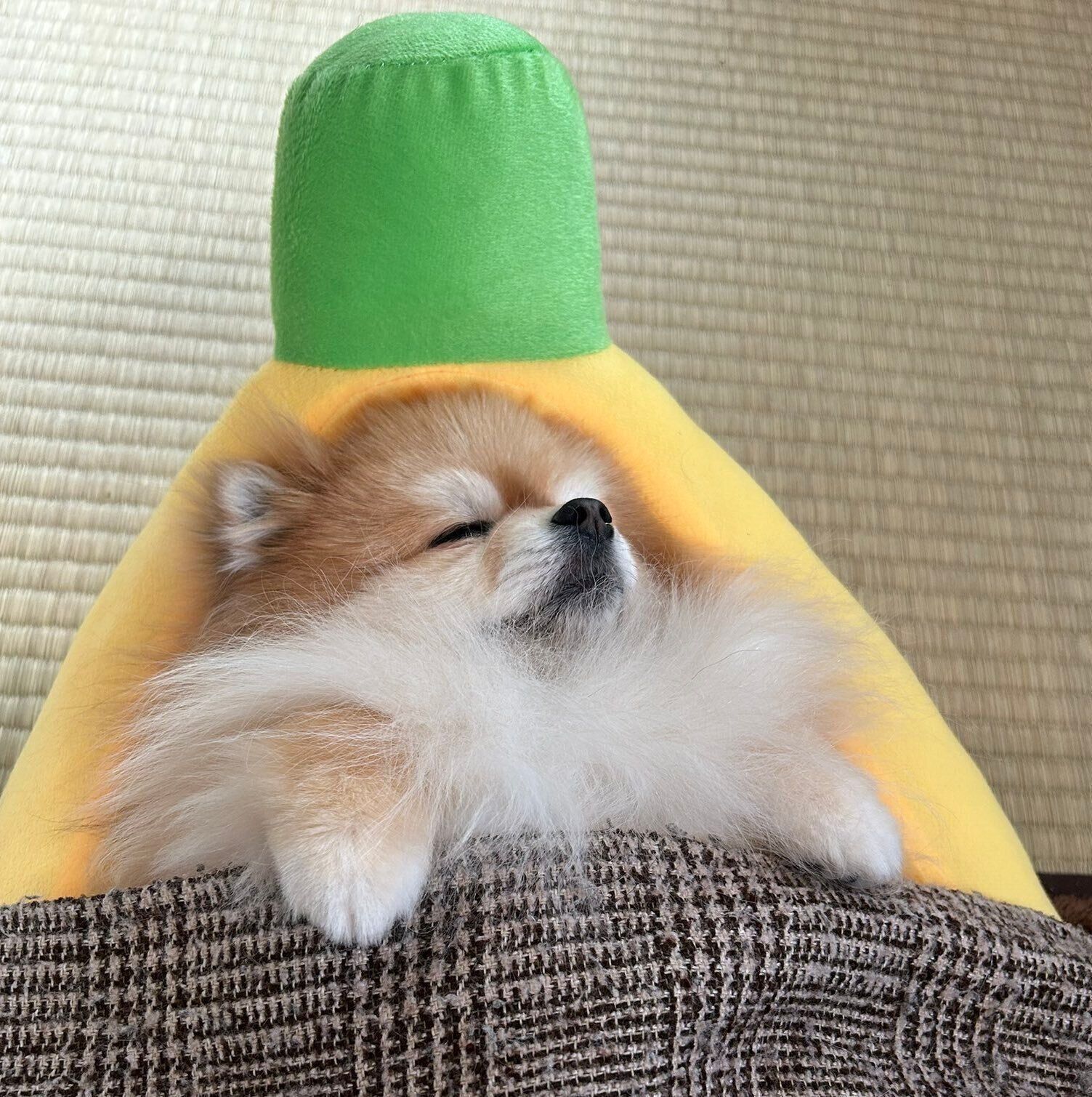 眠るいぶきちゃん