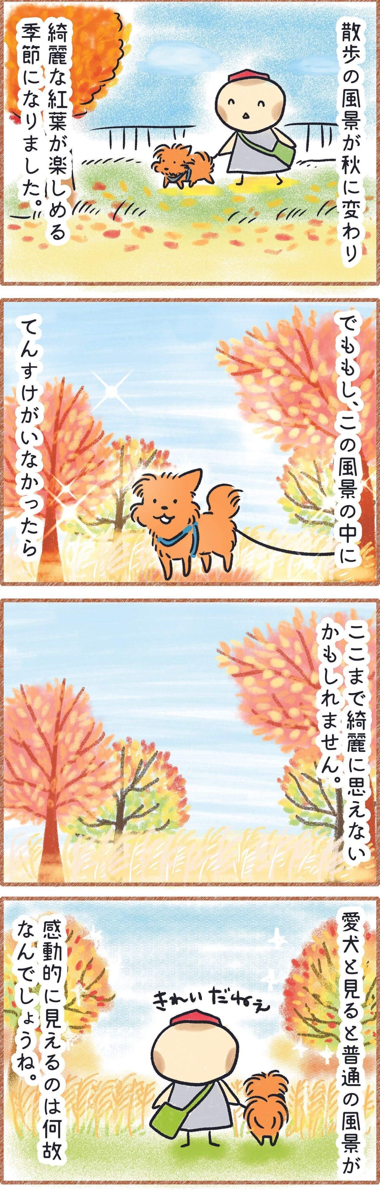 愛犬と見る紅葉は特別キレイに見える漫画