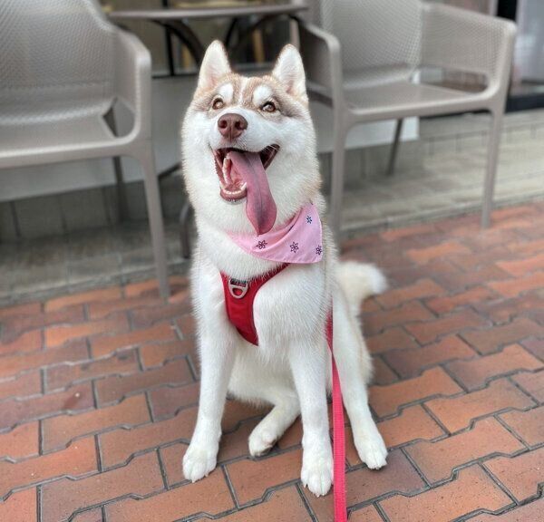 楽しそうなミルテちゃん