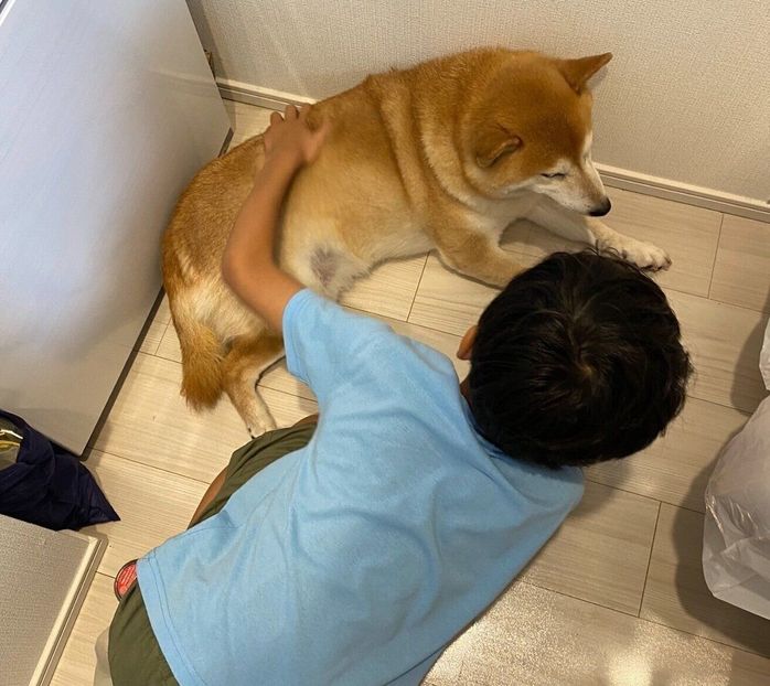 甥っ子さんに慰めてもらうロコちゃん