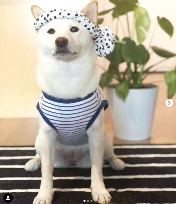 「祭り」をイメージしたつきちゃん