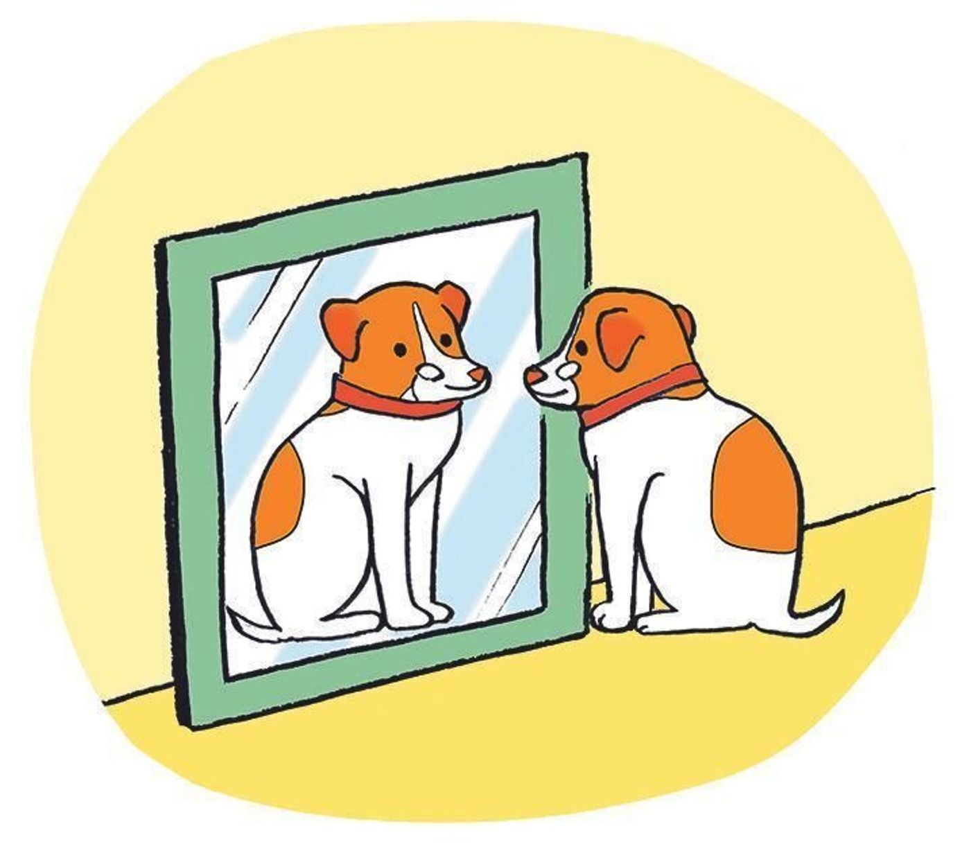 犬は死を理解できない 犬の知能のフシギを解説 いぬのきもちweb Magazine 犬は死を理解できない 犬の知能のフシギを解説 いぬのきもちweb Magazine