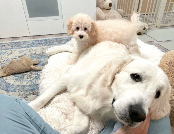 むうさんの上に乗るめるくん