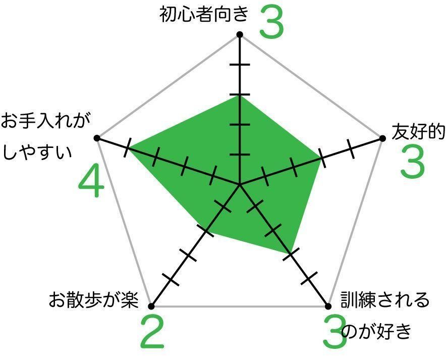 ハリアの特徴と性格 飼い方 価格相場など 犬図鑑 いぬのきもちweb Magazine