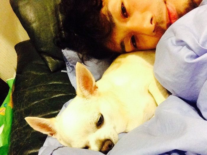 吉田山田 吉田さんと愛犬