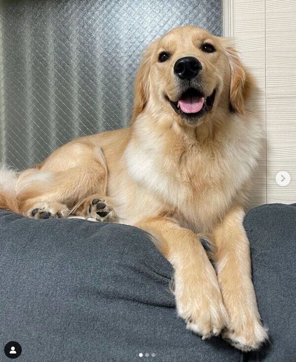 笑顔が可愛いおからちゃん