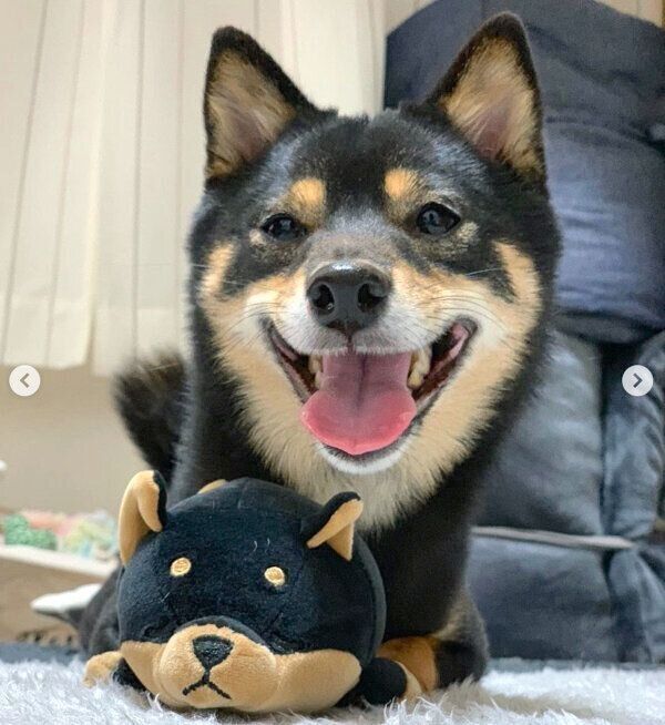 笑顔のあずきちゃん