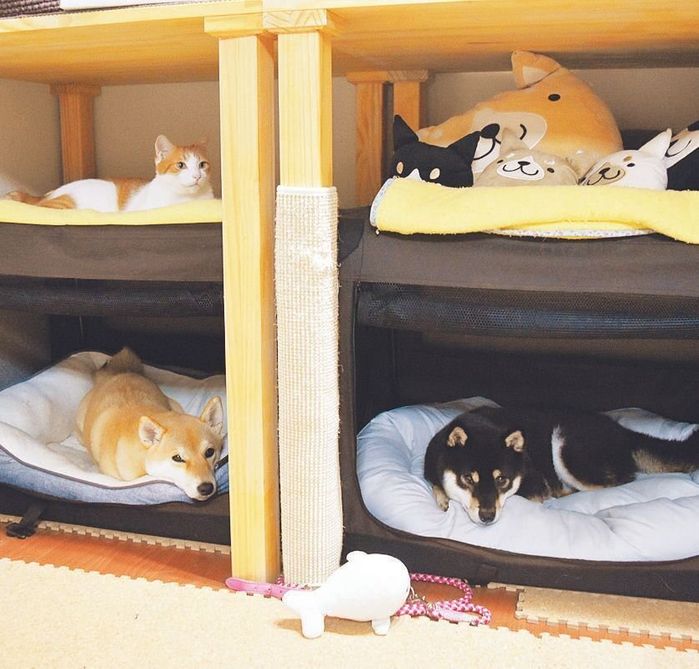 手作りの犬猫マンション