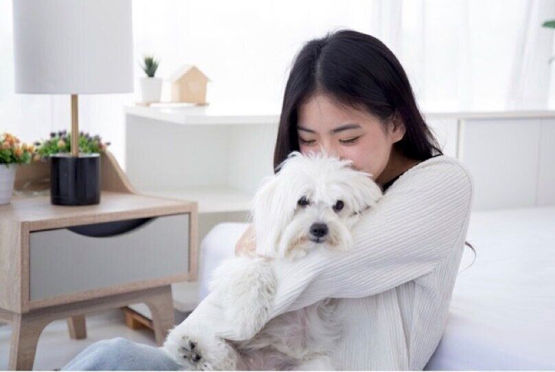 人と犬がふれあうイメージ