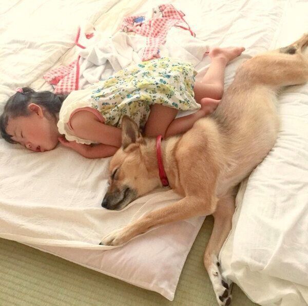 同じような姿で眠るこむぎちゃんと娘さん