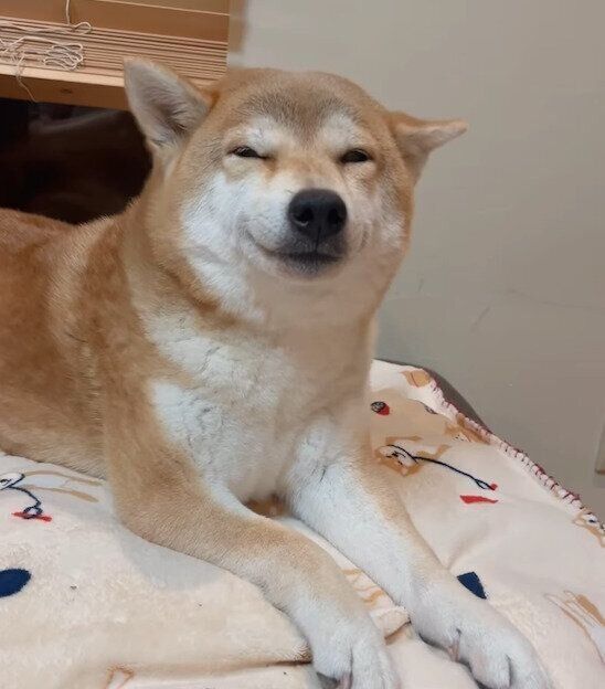 嬉しそうなユクちゃん