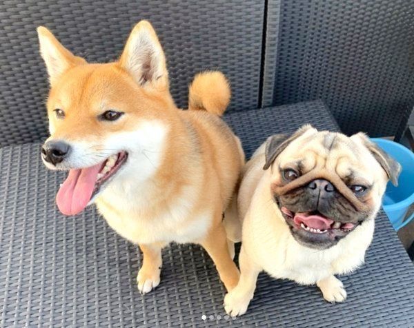 寄り添うアキちゃんとラルくん