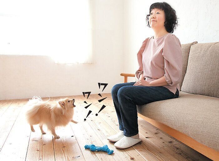吠える犬