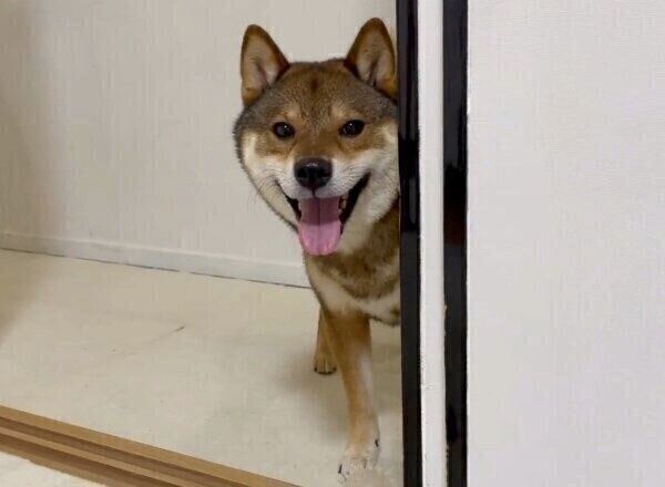 笑顔のケンくん