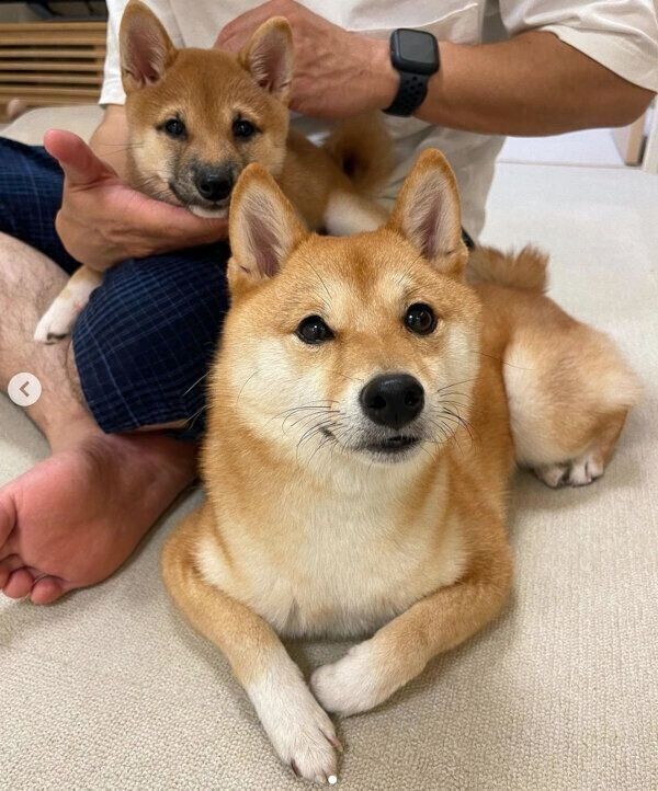 まるちゃんとはなちゃん