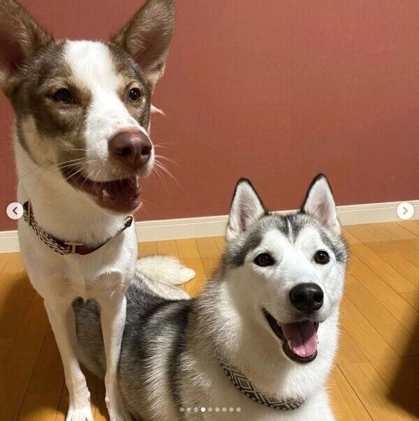 笑顔のバロンくん、シエルちゃん