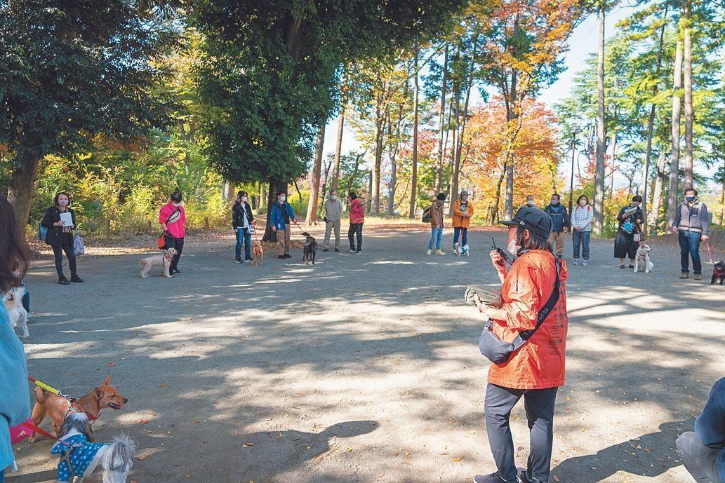 協会では定期的に聴導犬候補の犬、家庭犬候補の犬の預かりをするボランティアのためにパピークラスを開催。公園で基礎訓練などを行います