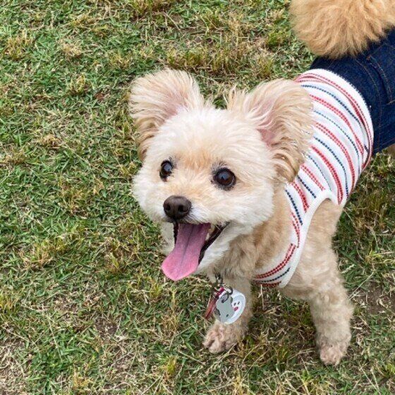 11才でも元気いっぱいなチッチちゃん