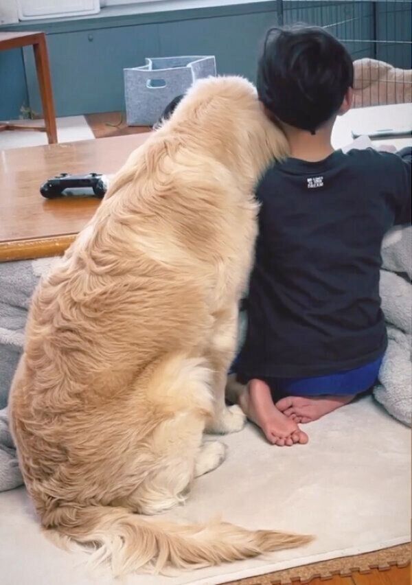 くっつくテオくんと息子さん