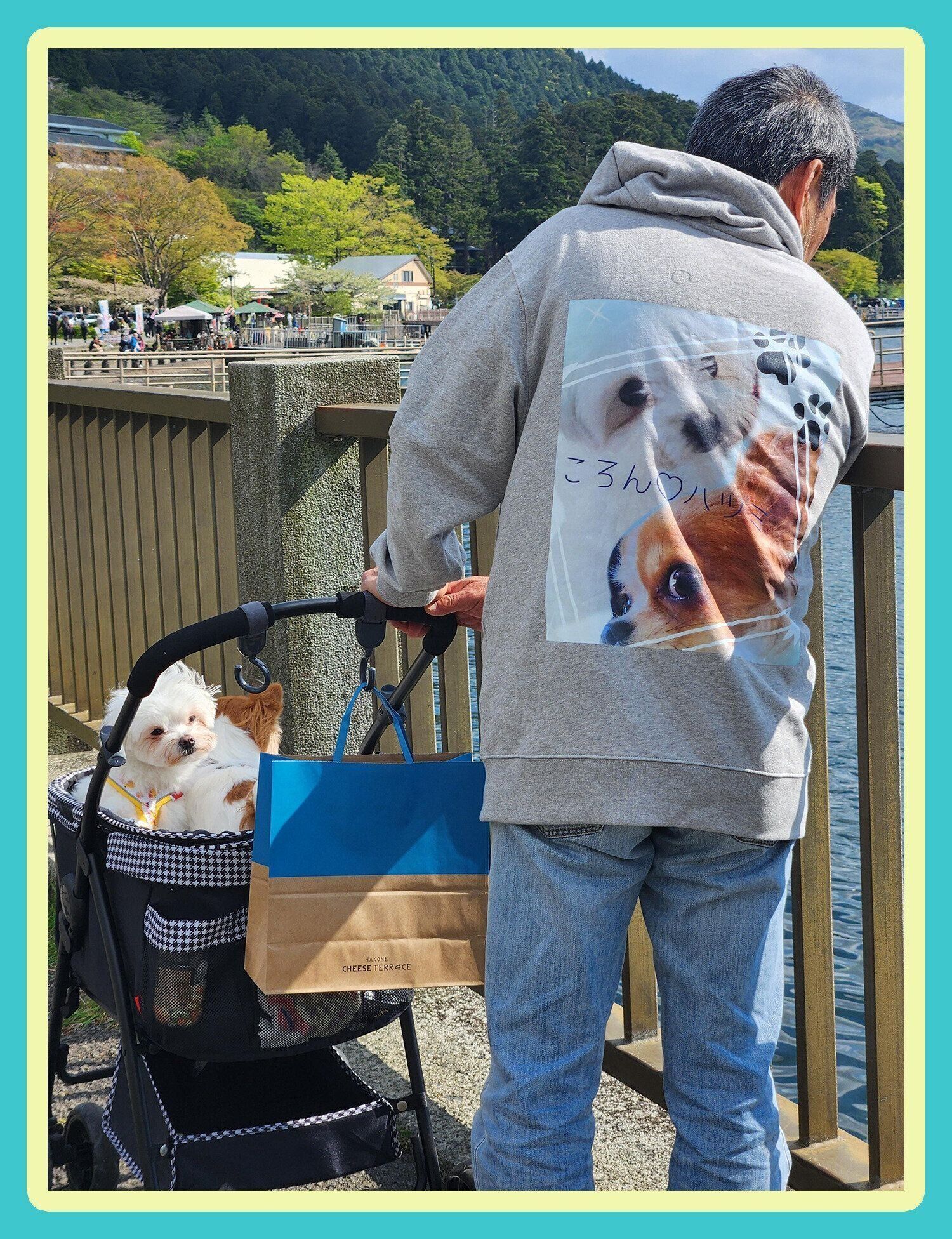 いぬ部門最優秀賞