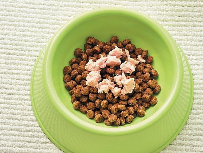 フードにトッピング