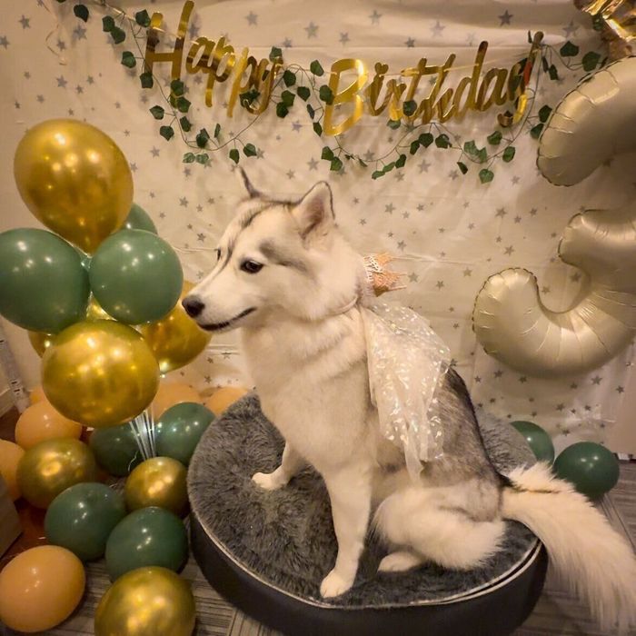 3才の誕生日のときのさくらちゃん