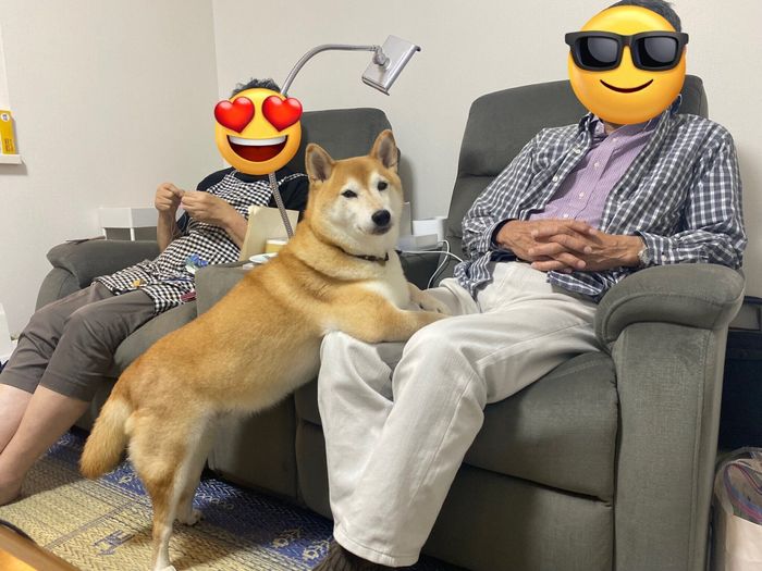 おじいちゃんにオヤツをおねだりするロコちゃん