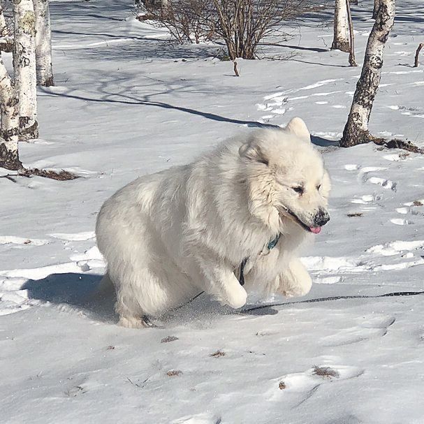 写真提供／Nさん