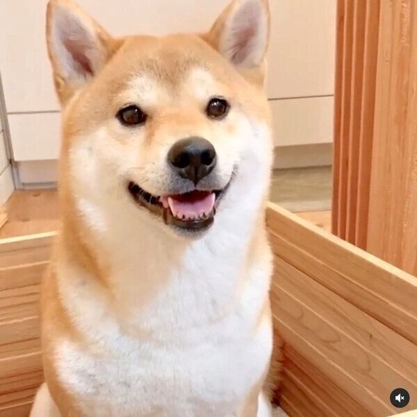 笑顔のユクちゃん