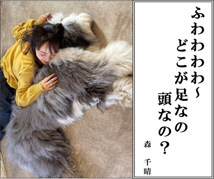 森千晴アナの犬猫あるある川柳