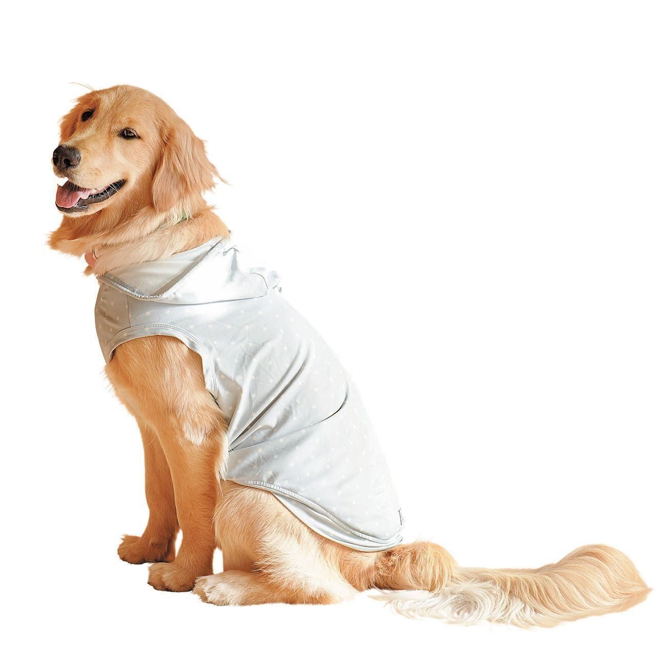 撮影／殿村忠博