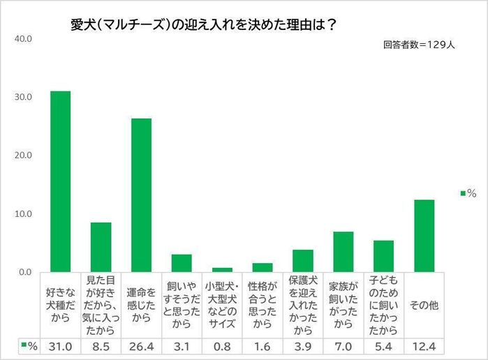 愛犬を迎え入れた理由は?